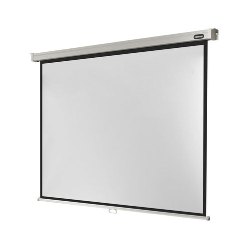 celexon Manual Professional screen, 220 x 165 cm, 4:3
