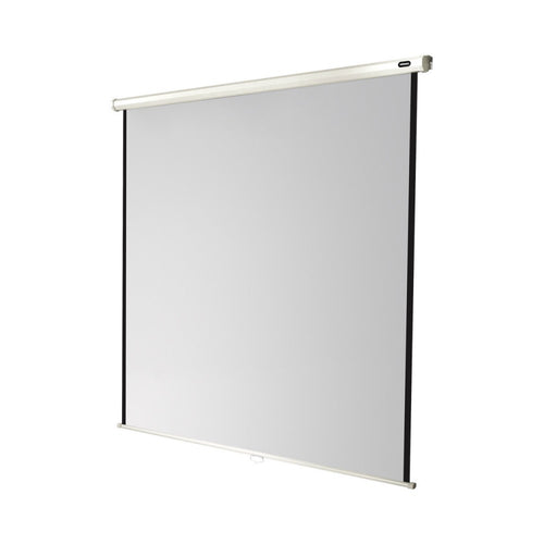 celexon Manual Economy screen, 200 x 200 cm, 1:1