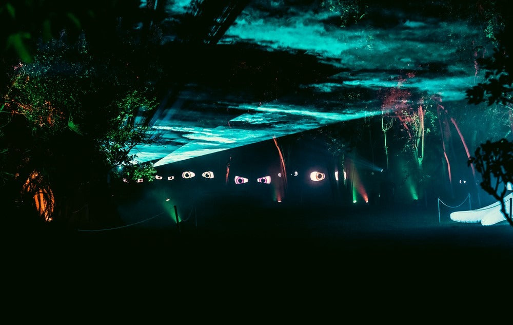 Lights in Nature Roma