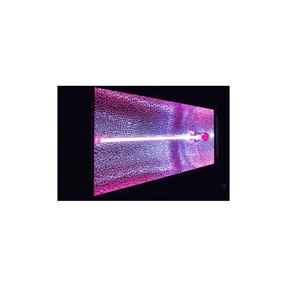 Showtec Titan Strobe BLAZE 1500W + RGB