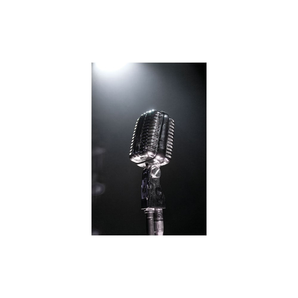 DAP-Audio VM-60 60s Vintage Microphone