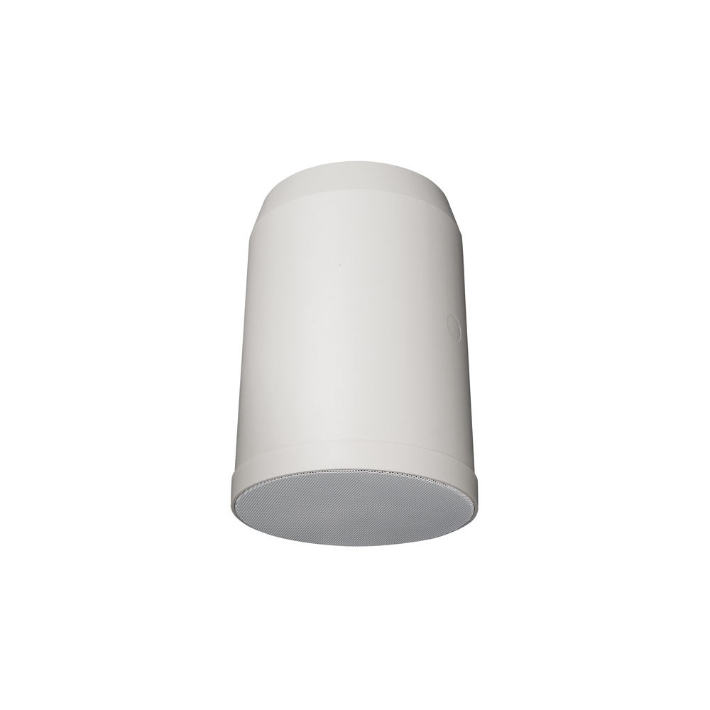 DAP HS-620P Altoparlante da sospensione 6"