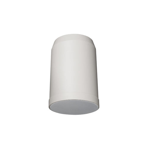 Altavoz de suspensión DAP HS-510P de 5"