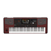 KORG PA1000 Professional Arranger