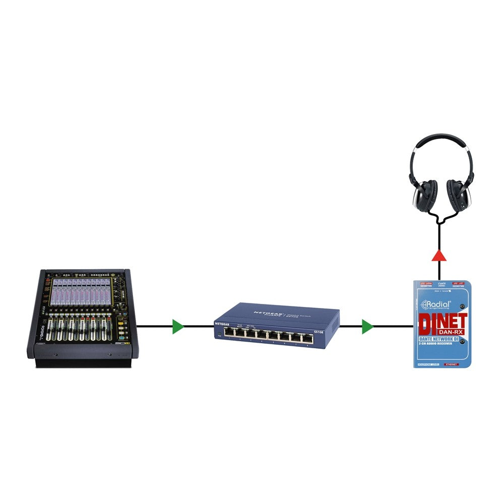 Radial DiNet Dan-Rx
