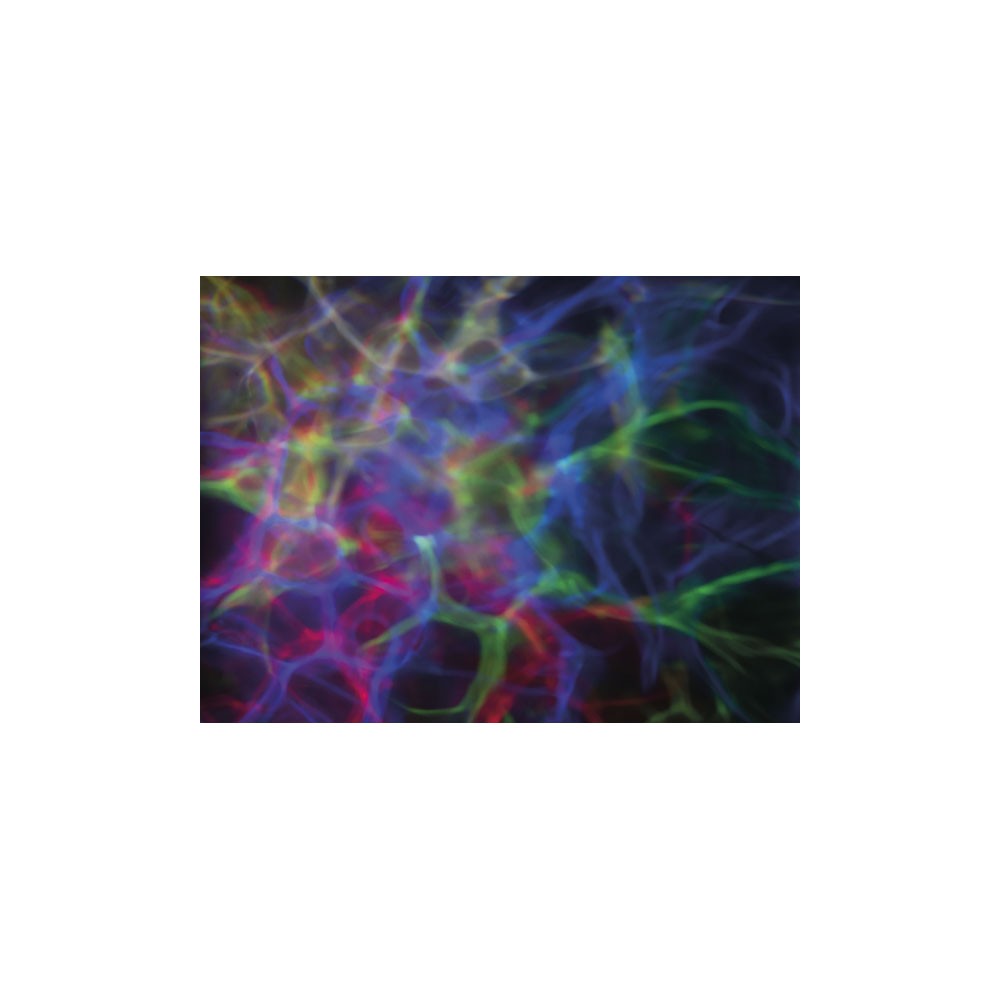 Showtec DreamWave