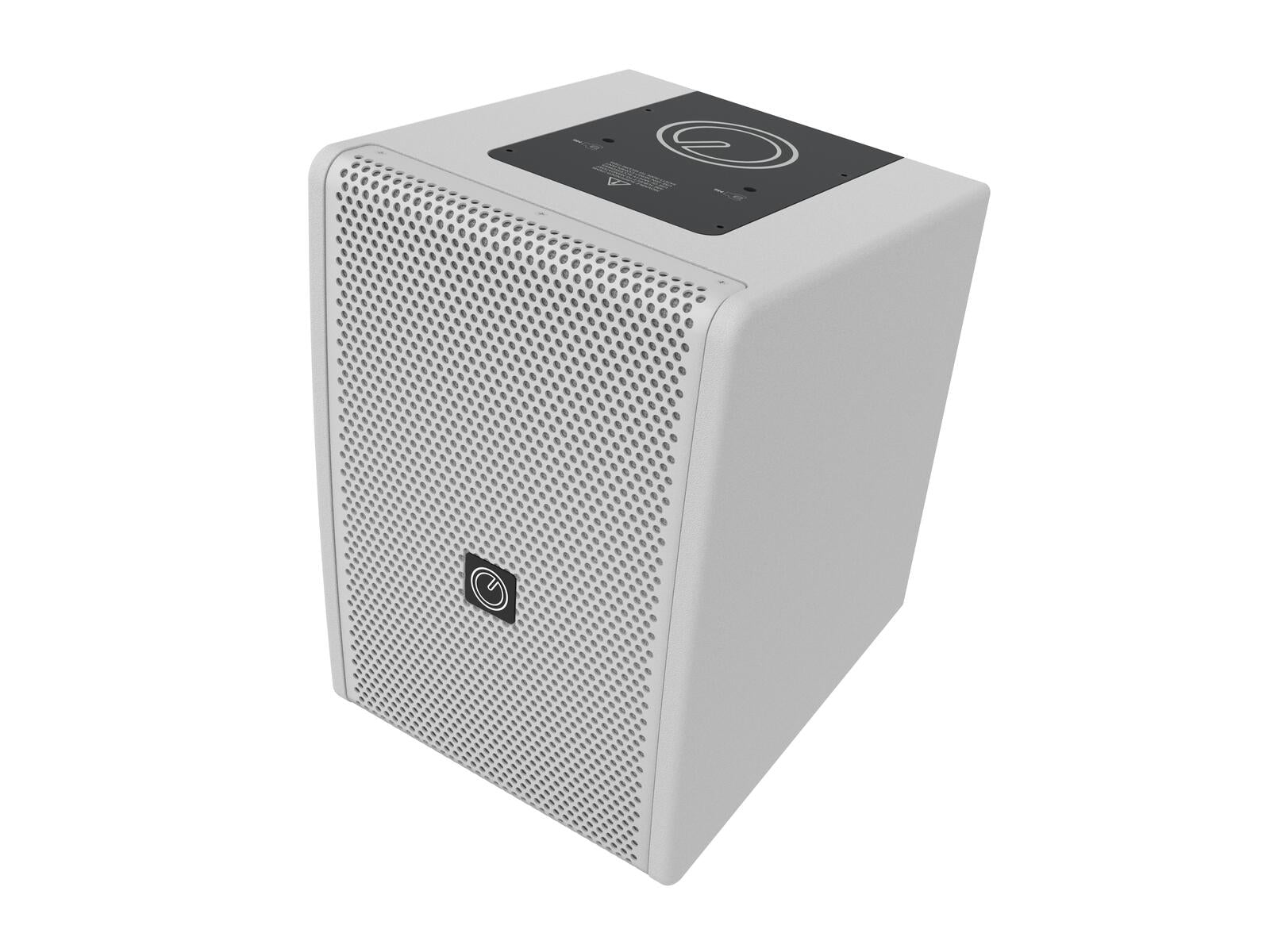 INTUSONIC 6FP100T Diffusore Full Range 2 vie 6,5" bianco