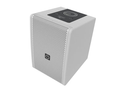 INTUSONIC 6FP100T Diffuseur Full Range 2 voies 6,5" blanc