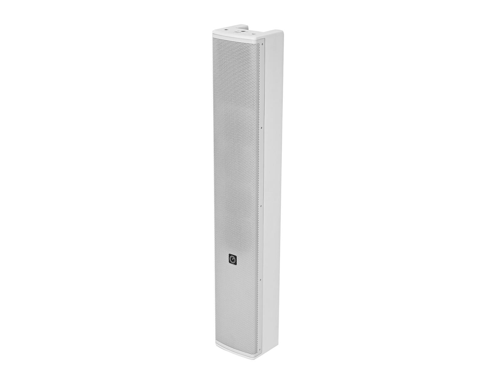 INTUSONIC 4VM100T Diffusore a Colonna Full Range 2 vie bianco