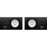 AVANTONE CLA-10 Coppia di monitor passivi da 10"