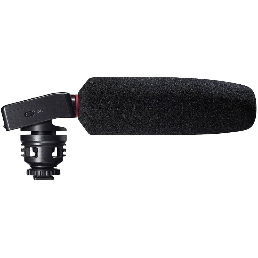 TASCAM DR-10SG Camera-Mountable Shotgun Microphone Recorder