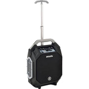 ANT IROLLER 8 Impianto audio a batteria