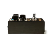 Way Huge WM91 Pork &amp; Pickle Buss Overdrive &amp; Fuzz