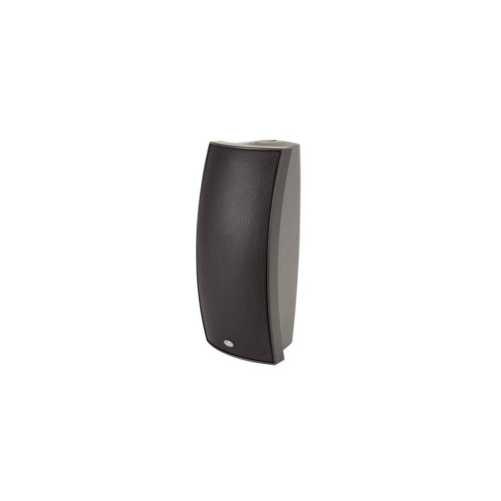 DAS ARCO-24-T Cassa passiva 100V da  100W