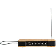MOOG MUSIC ETHERWAVE THEREMIN