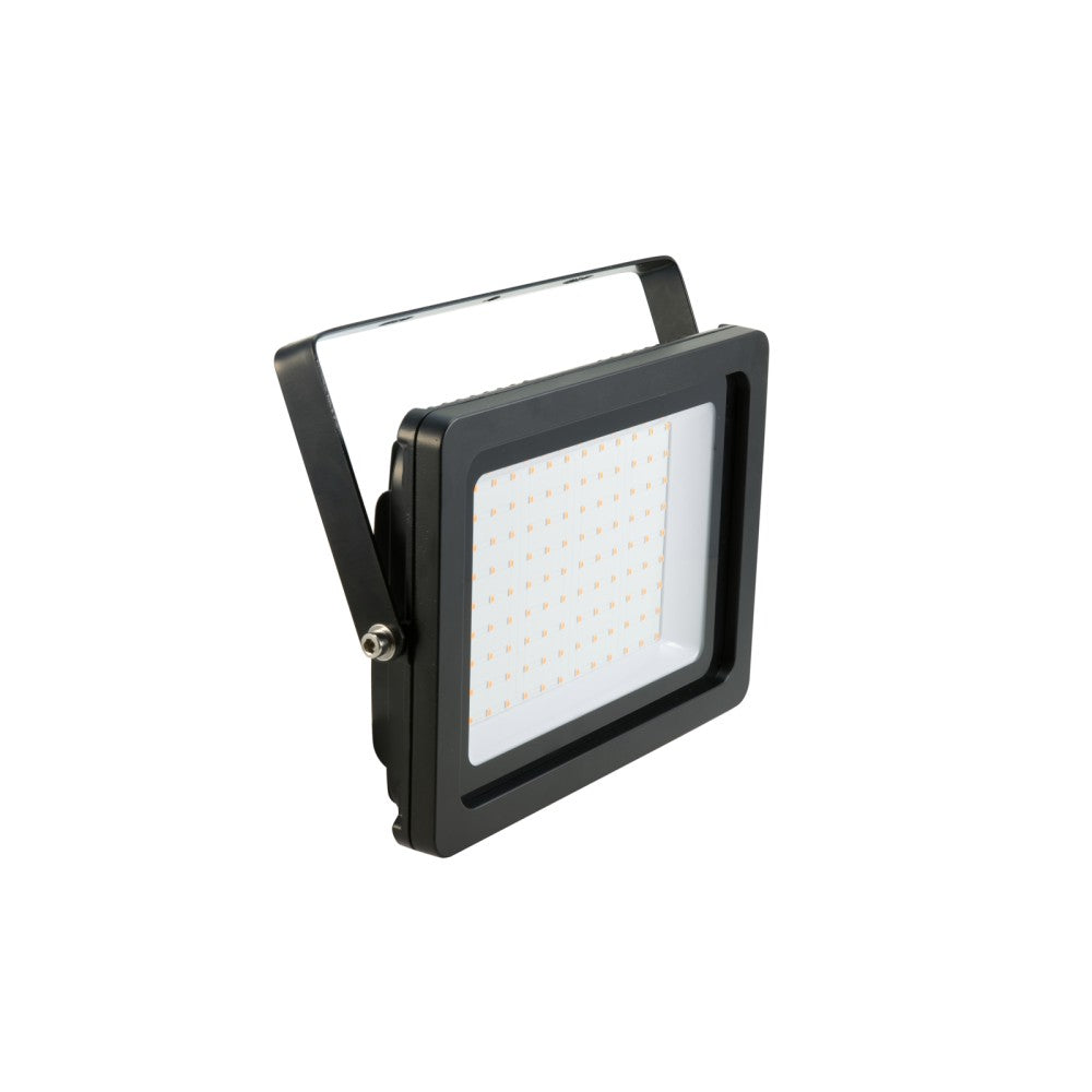 EUROLITE LED IP FL-100 SMD Faretto a led da esterno Viola
