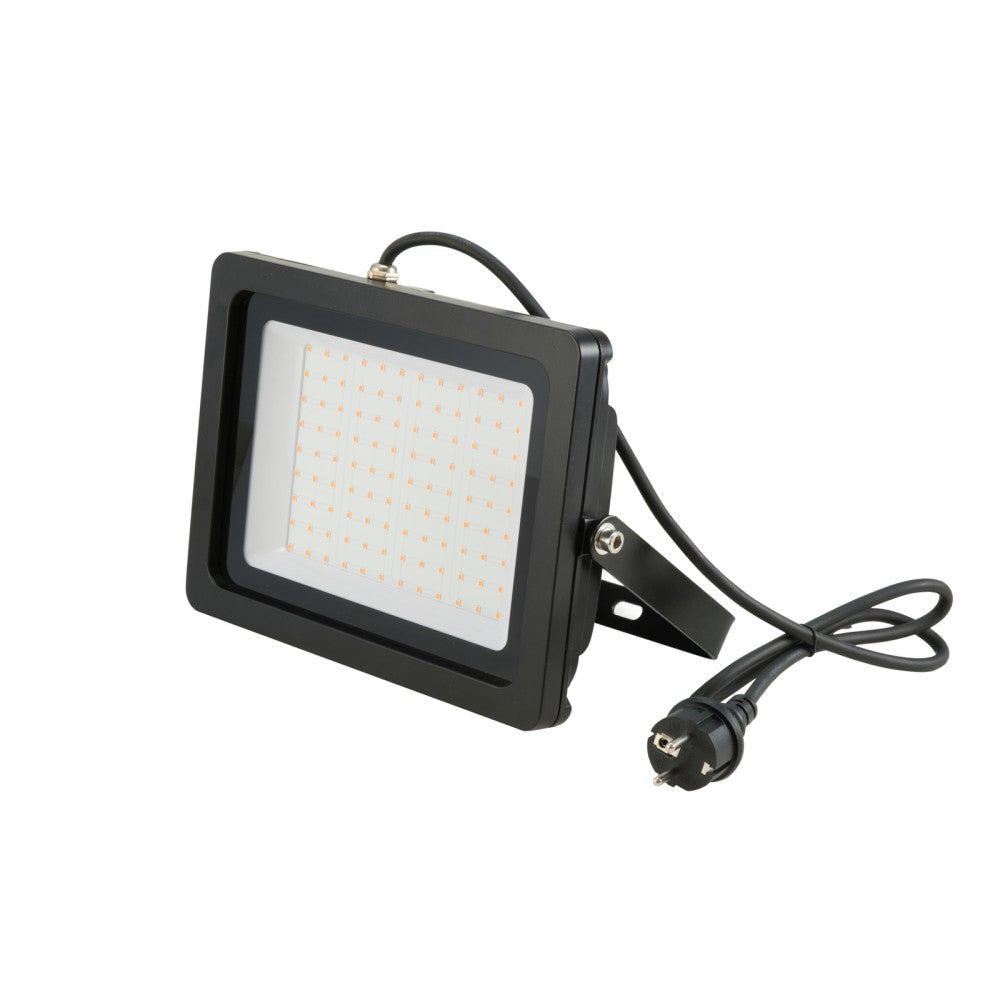 EUROLITE LED IP FL-100 SMD Faretto a led da esterno Arancione