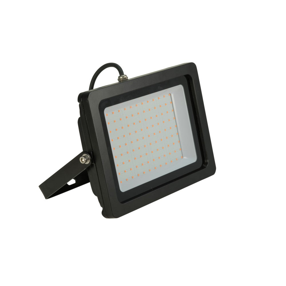 EUROLITE LED IP FL-100 SMD Faretto a led da esterno Arancione