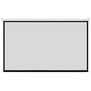 DMT Proscreen Electric - electric wall/ceiling beamer projection screen