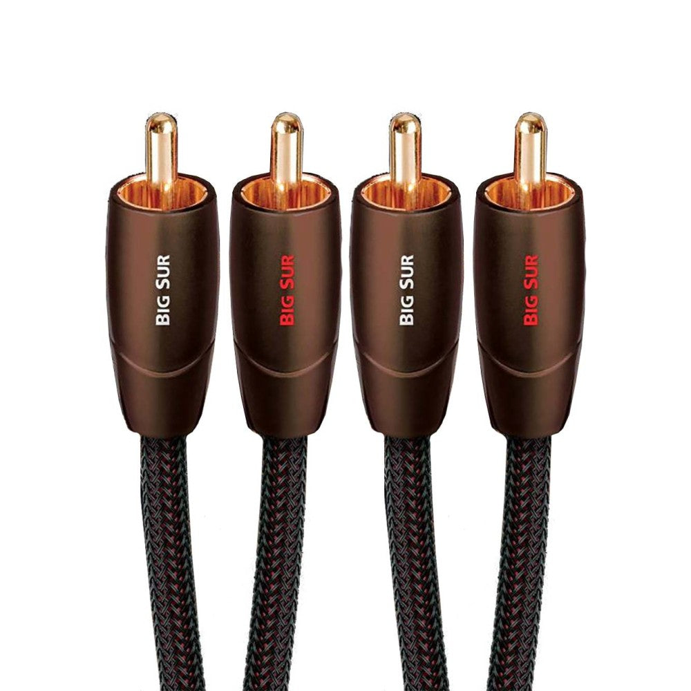 AUDIOQUEST BIG SUR 2RCA Cavo di interconnessione analogico-audio