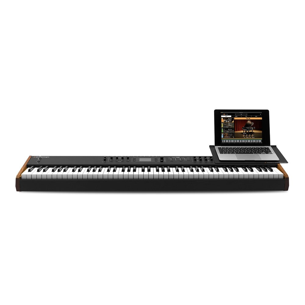 StudioLogic NUMA X PIANO COMPUTADORA MAGNÉTICA