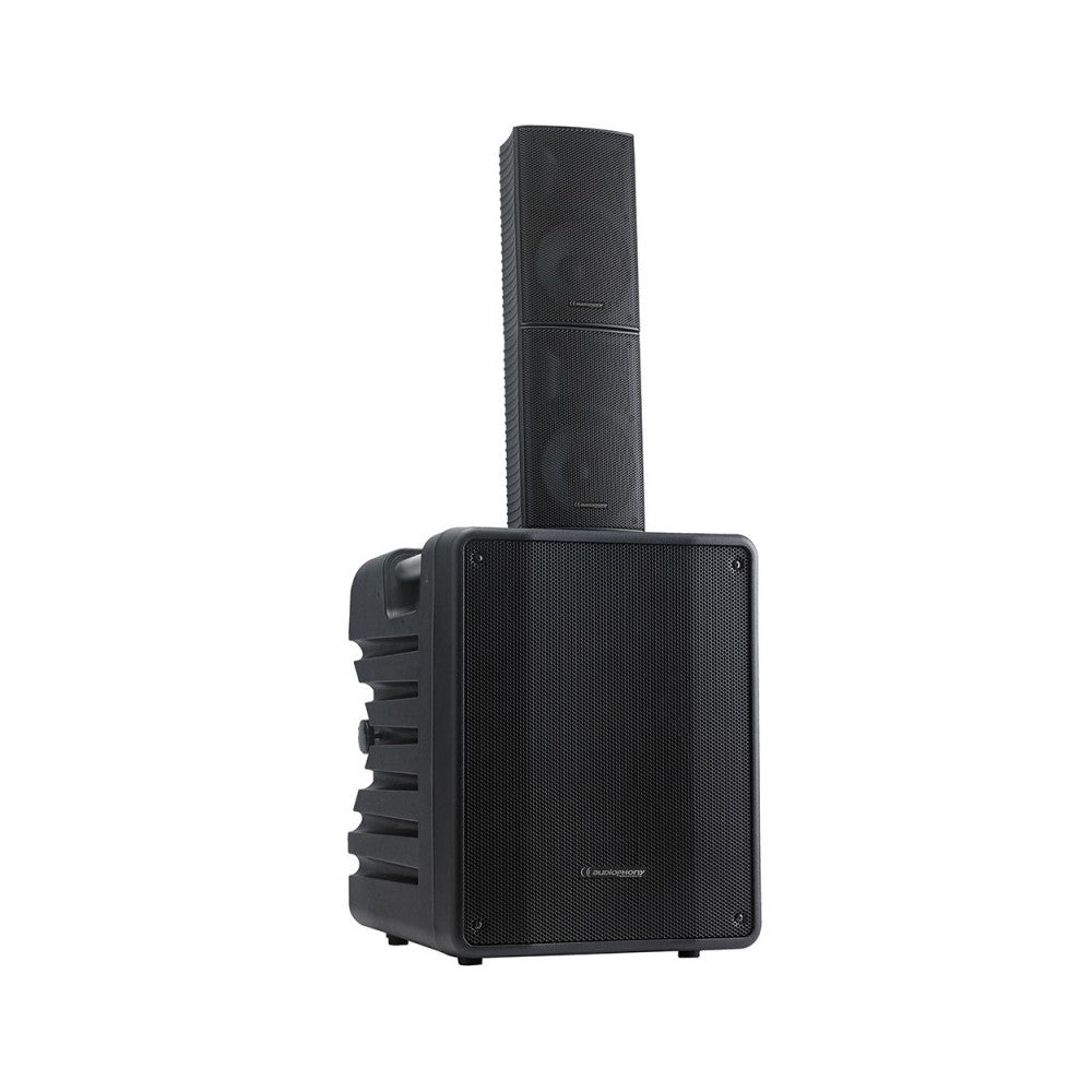 Audiophony MOJO1000FX
