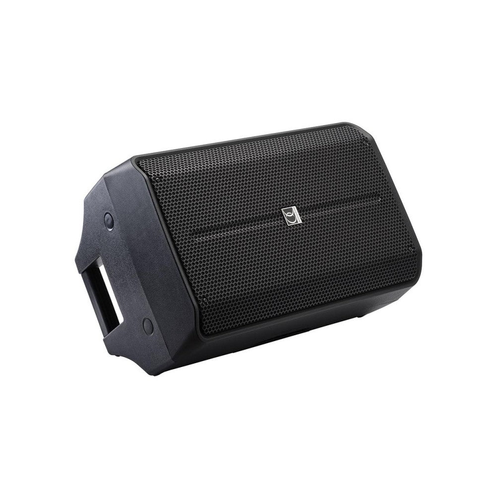 Audiophony 350W RMS 12-inch 2-way active speaker