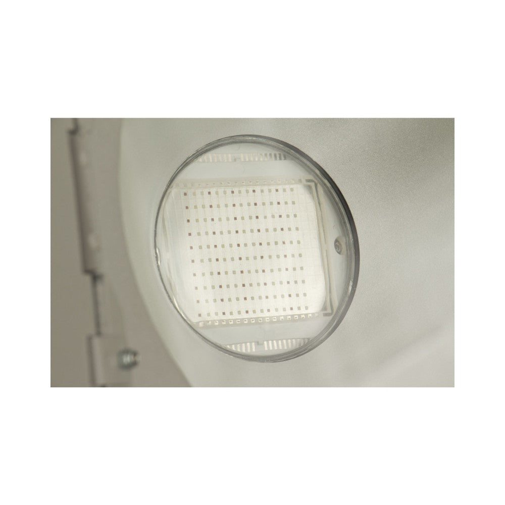 Briteq LED Wall Washer RGB 150W COB IP65