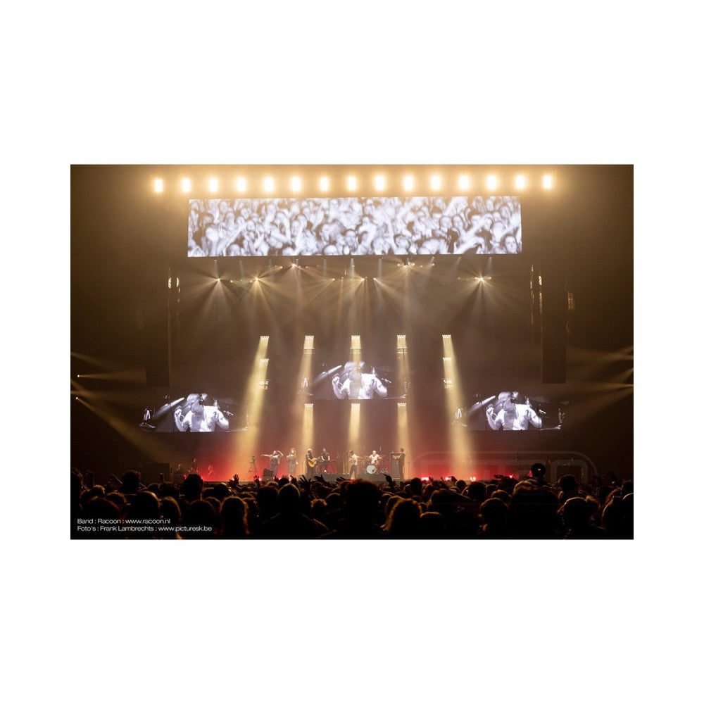 Briteq Powerful 9x60W WW/CW beam, RGB glow effects