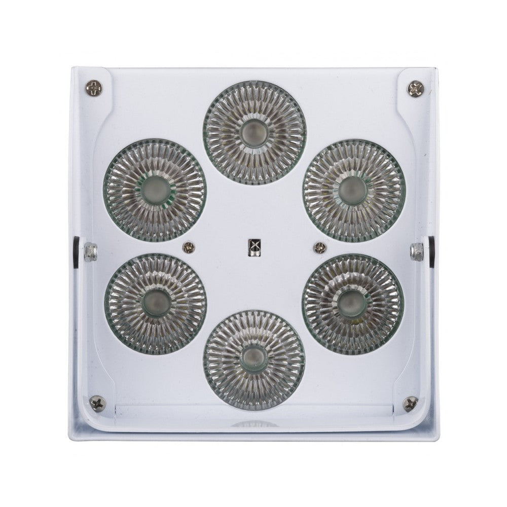 JB SYSTEMS Battery LED projector RGBWA 60W + WDMX + Rain Cover