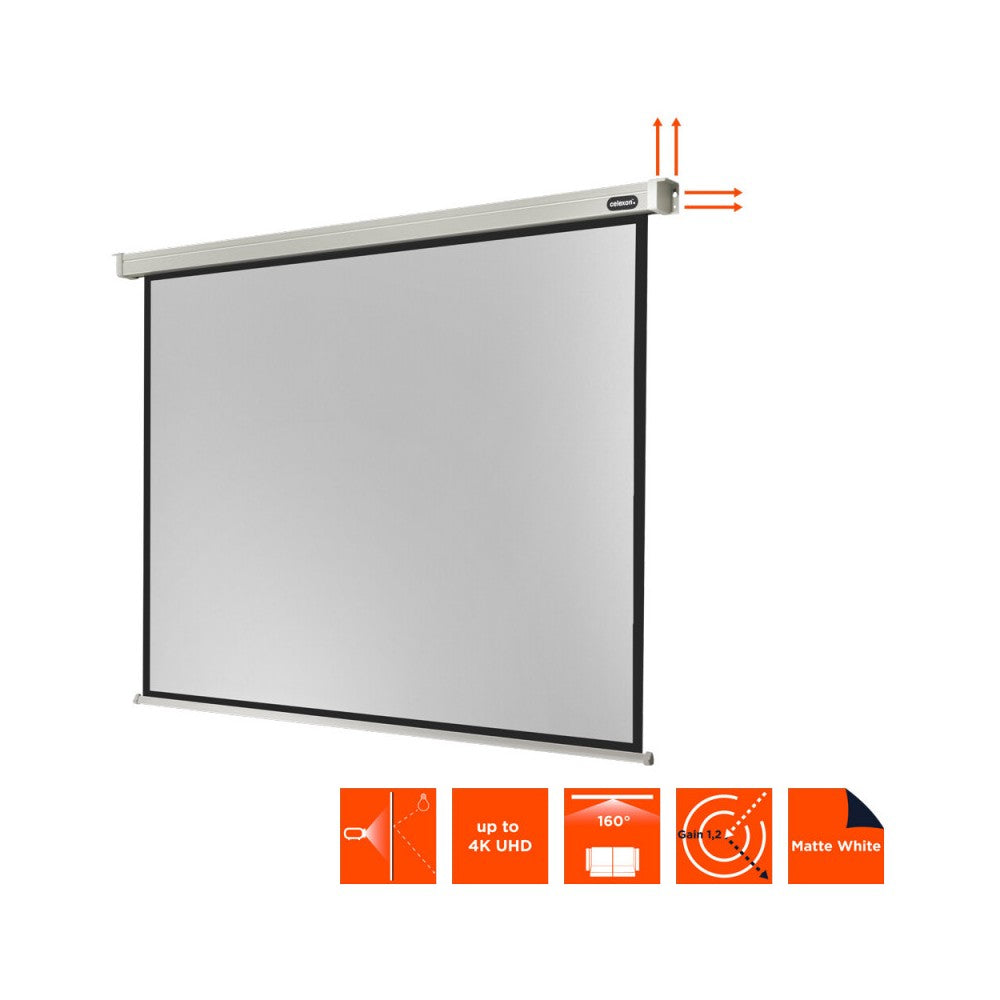 Celexon Electric Professional screen, 240 x 180 cm, 4:3