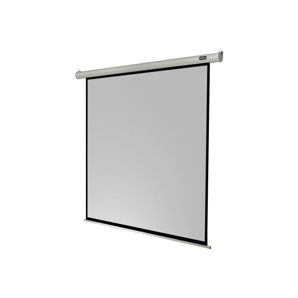 Celexon Electric Economy screen, 220 x 220 cm, 1:1