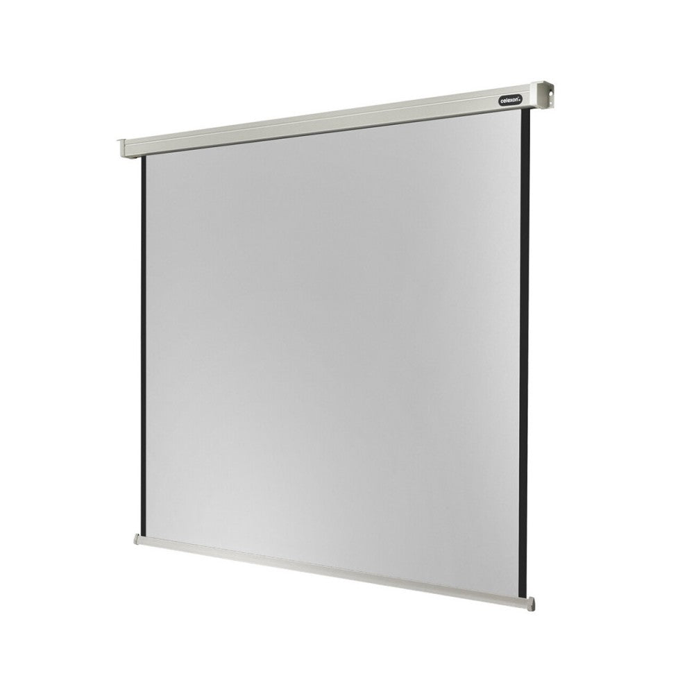 Celexon Electric Professional screen, 240 x 240 cm, 1:1