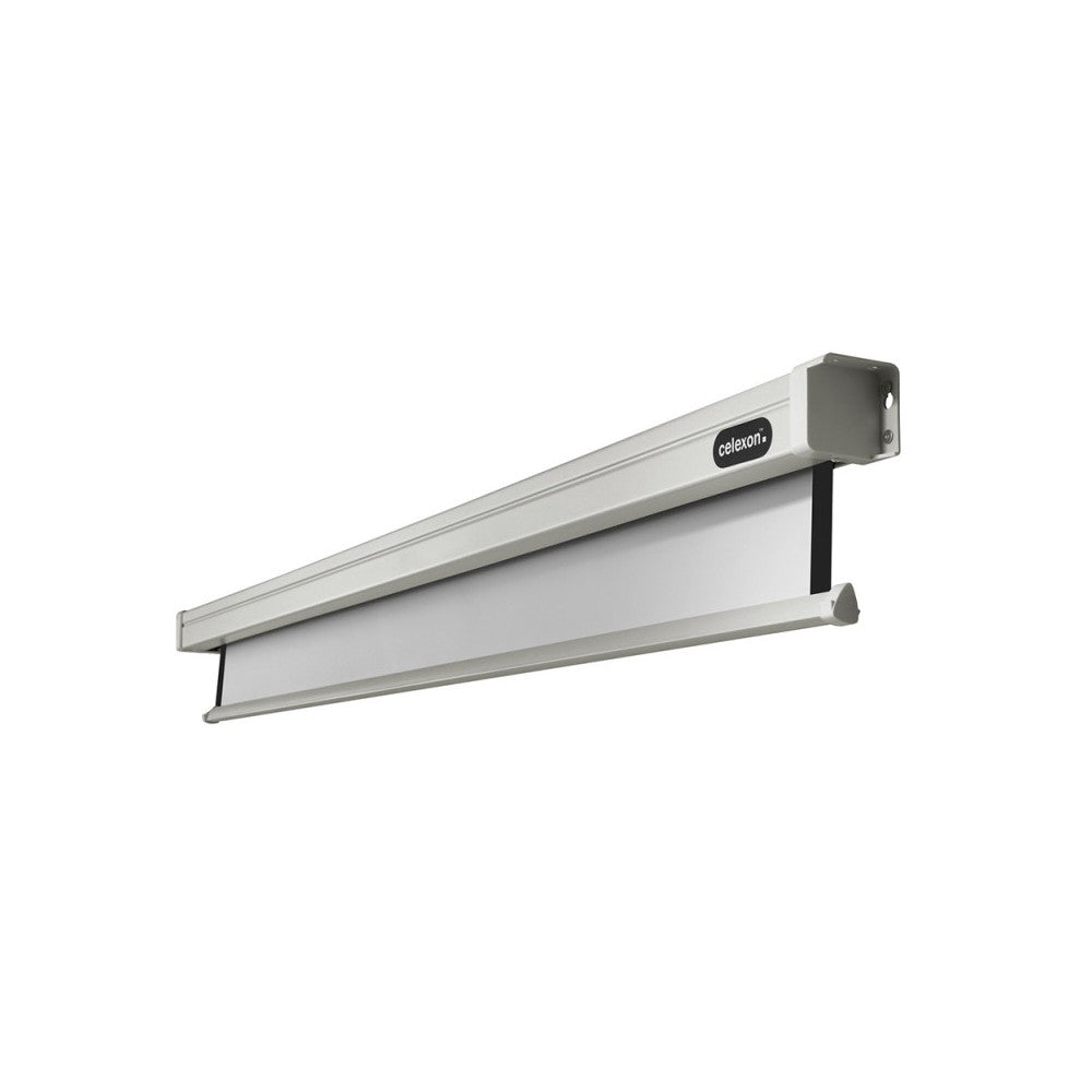 Celexon Electric Professional screen, 240 x 240 cm, 1:1