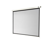 Celexon Manual Economy screen, 160 x 120 cm, 4:3