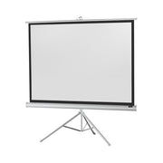 Celexon Tripod Economy screen, 244 x 183 cm, 4:3 - white