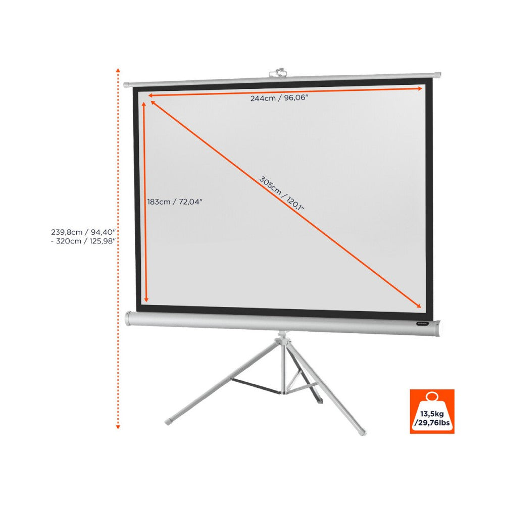 Celexon Tripod Economy screen, 244 x 183 cm, 4:3 - white