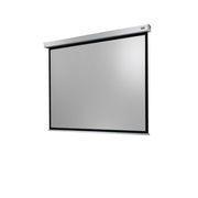 Celexon Electric Professional Plus Screen, 300 x 225 cm, 4:3