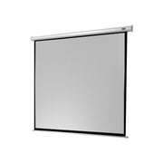 Celexon Electric Economy Screen, 280 x 280 cm, 1:1