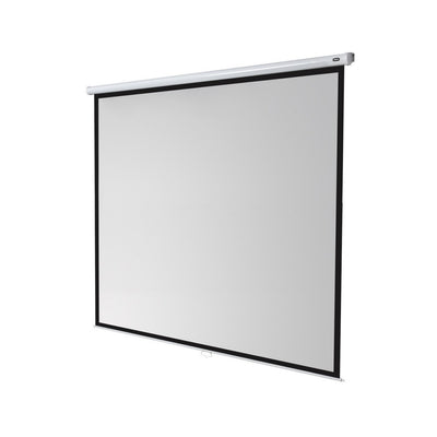 Celexon Manual Economy screen, 300 x 300 cm, 1:1