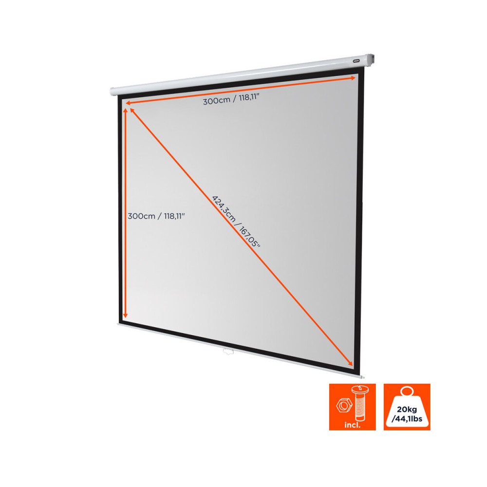 Celexon Manual Economy screen, 300 x 300 cm, 1:1