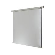 Celexon Manual Professional screen, 280 x 280 cm, 1:1