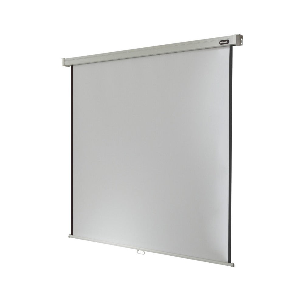 Celexon Manual Professional screen, 240 x 240 cm, 1:1