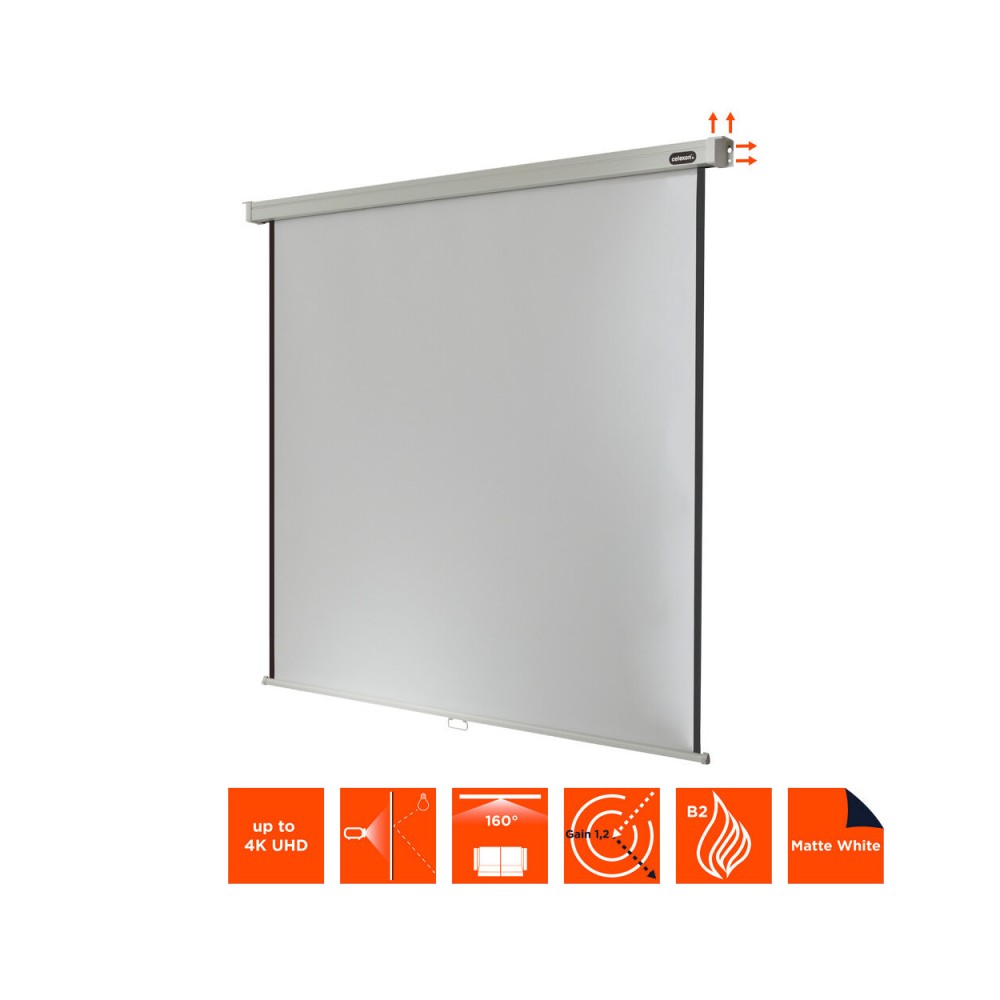 Celexon Manual Professional screen, 240 x 240 cm, 1:1