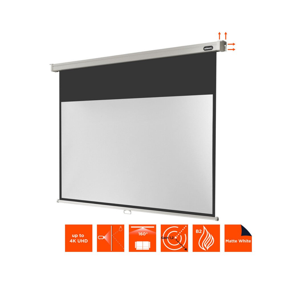 Celexon Manual Professional screen, 220 x 124 cm, 16:9