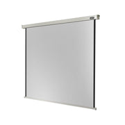 Celexon Electric Professional screen, 120 x 120 cm, 1:1