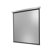 Celexon Electric Professional Plus Screen, 280 x 280 cm, 1:1