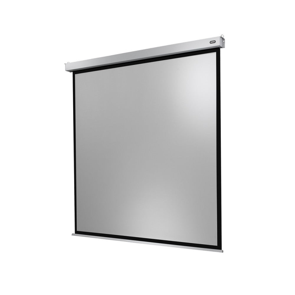 Celexon Electric Professional Plus Screen, 280 x 280 cm, 1:1