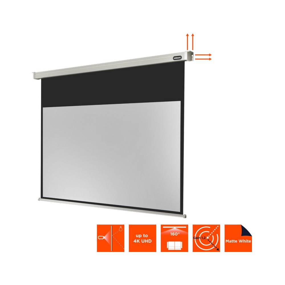 Celexon Electric Professional Screen, 220 x 124 cm, 16:9