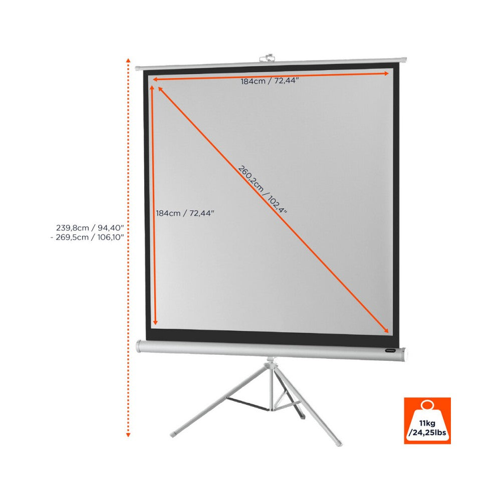 Celexon Tripod Economy screen, 184 x 184 cm, 1:1 - white